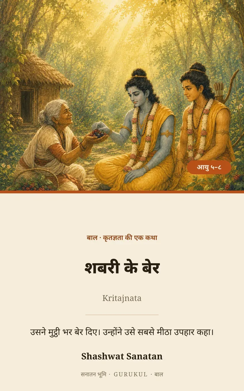 शबरी के बेर पुस्तक का आवरण